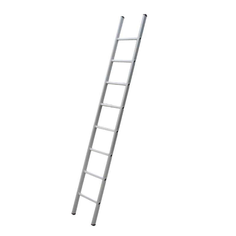 DX-E107-E115 Economic Aluminum D-rung Single Straight Ladder