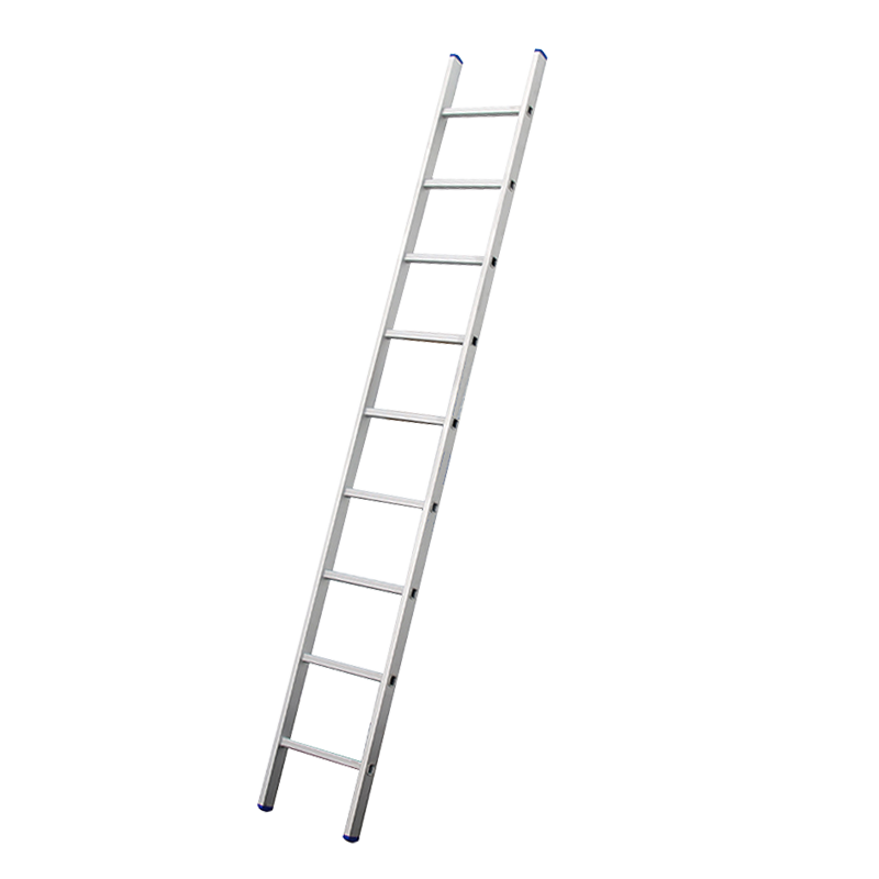 DX-E107-E115 Economic Aluminum D-rung Single Straight Ladder