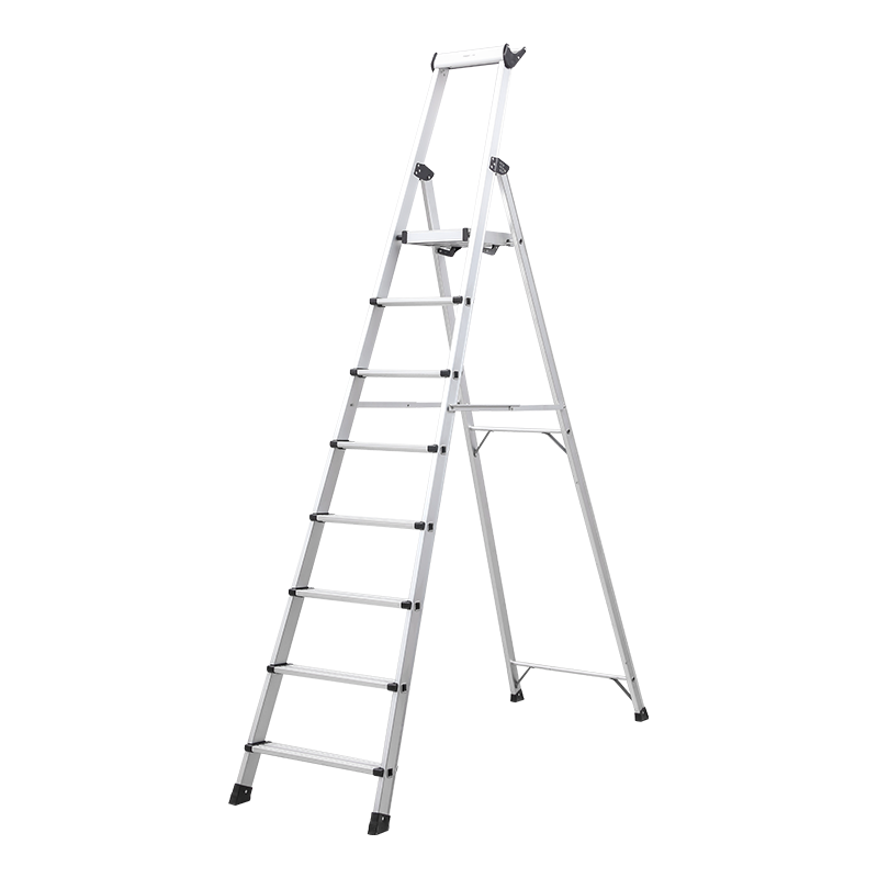 P56 Professional Step Ladder with Tool Tray 5600 Series