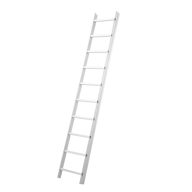 Single Roof Straight Ladder 3100 Series